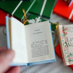 📚 25-Day Mini Book Advent Calendar – A Book Lover's Christmas Countdown