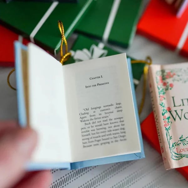 📚 25-Day Mini Book Advent Calendar – A Book Lover's Christmas Countdown