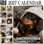🐶 Dachshunds 2027 Wall Calendar – 12 Months of Adorable Dachshund Portraits & Playful Everyday Moments