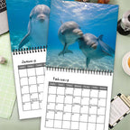 🐬2027 Dolphin Calendar