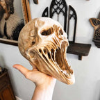 🔥Last Day 50% OFF 💀Gothic Skull Sculpture