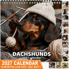 🐶 Dachshunds 2027 Wall Calendar – 12 Months of Adorable Dachshund Portraits & Playful Everyday Moments