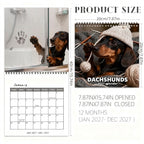 🐶 Dachshunds 2027 Wall Calendar – 12 Months of Adorable Dachshund Portraits & Playful Everyday Moments