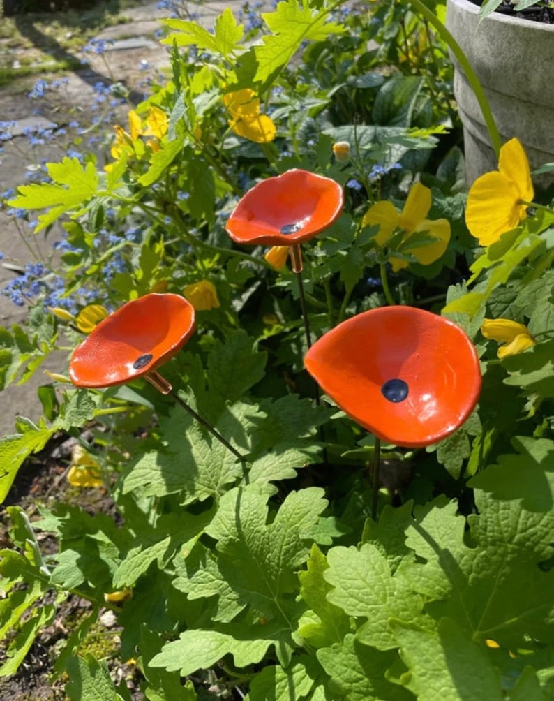 🐝Bee Watering Station-Insect Drinking Cups