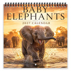 🐘2027 Cute Elephant Wall Calendar, Spiral Bound Animal Gift Decor