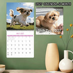 🐶 2027 Shih Tzu Calendar – 12 Months of Adorable Shih Tzu Portraits & Sweet Everyday Moments