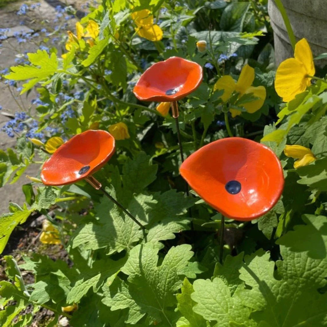 🐝Bee Watering Station-Insect Drinking Cups