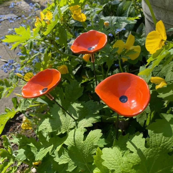 🐝Bee Watering Station-Insect Drinking Cups