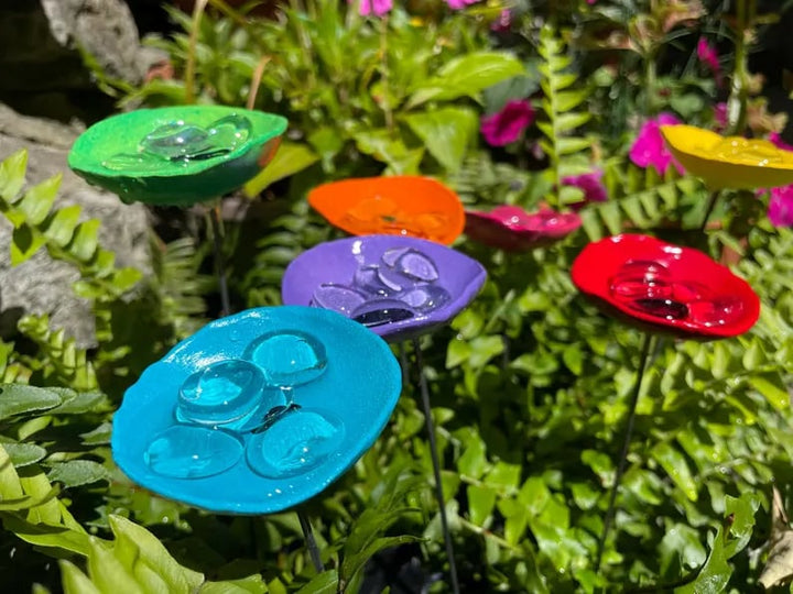 🐝Bee Watering Station-Insect Drinking Cups