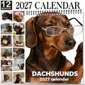🐶 Dachshunds With Glasses 2027 Wall Calendar – 12 Months of Adorable Dachshunds & Playful Stylish Moments