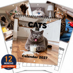 😺2027 Funny Blue Cat Calendar