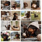 🐶 Dachshunds 2027 Wall Calendar – 12 Months of Adorable Dachshund Portraits & Playful Everyday Moments