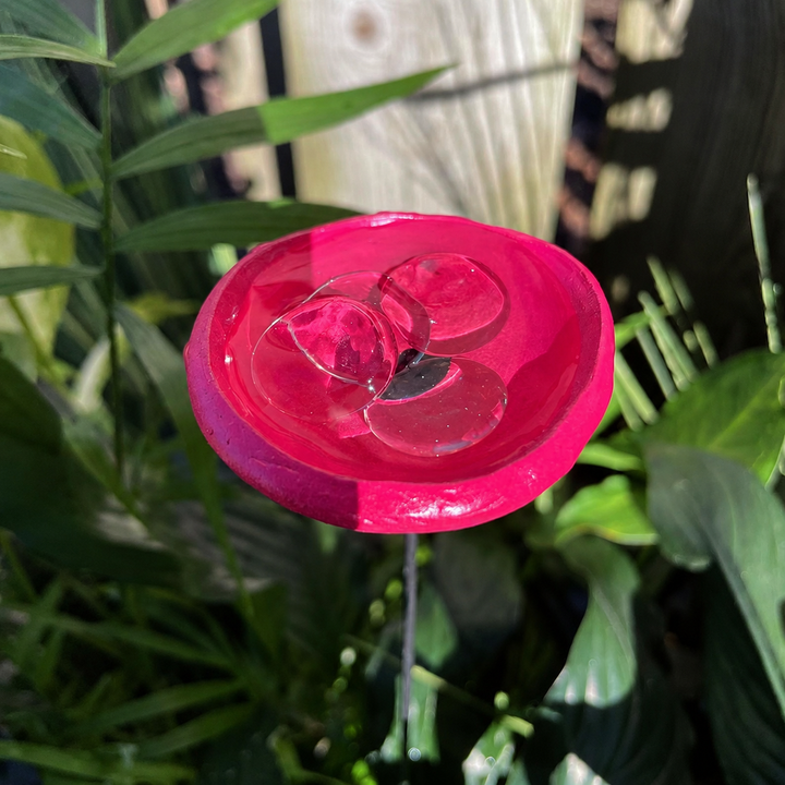 🐝Bee Watering Station-Insect Drinking Cups