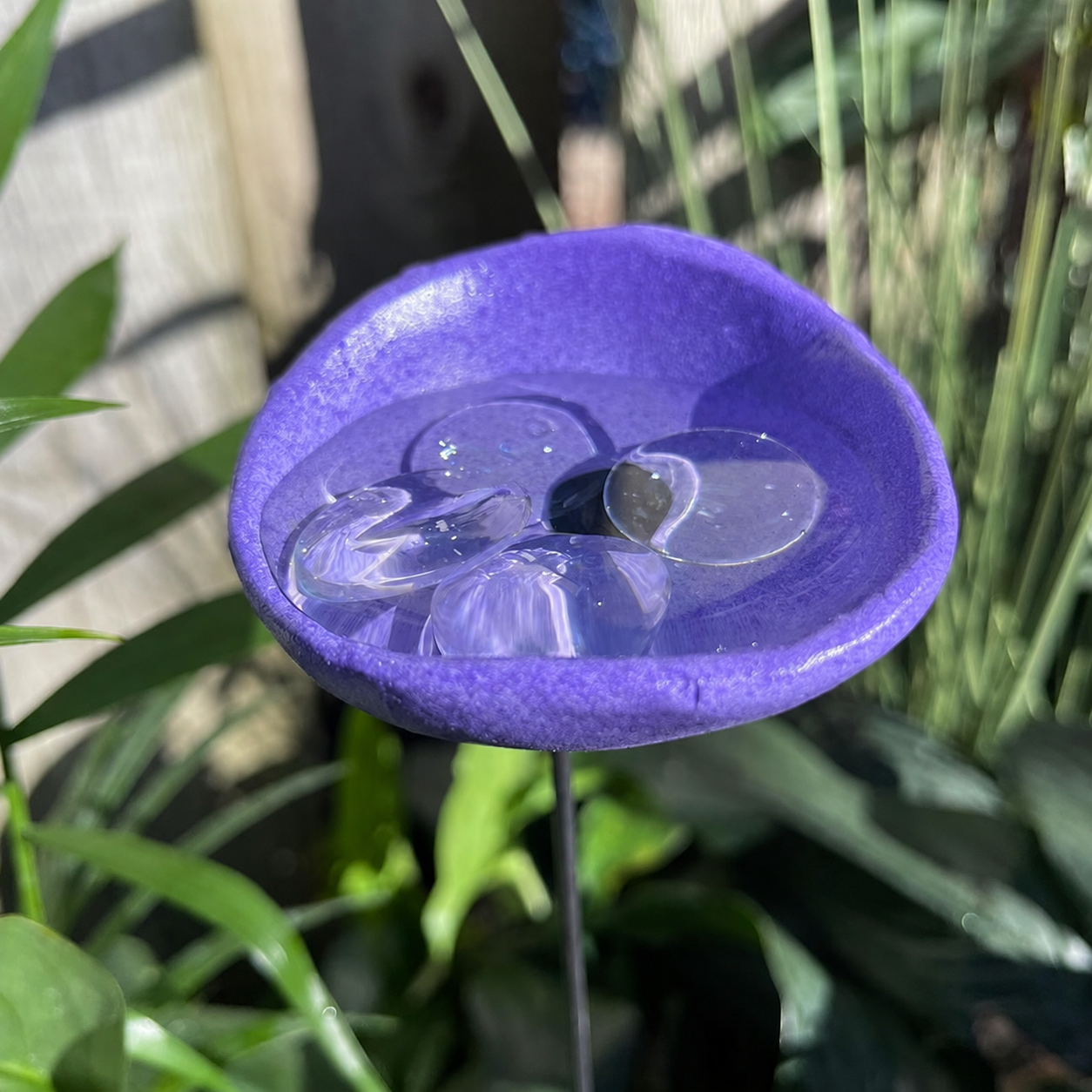 🐝Bee Watering Station-Insect Drinking Cups