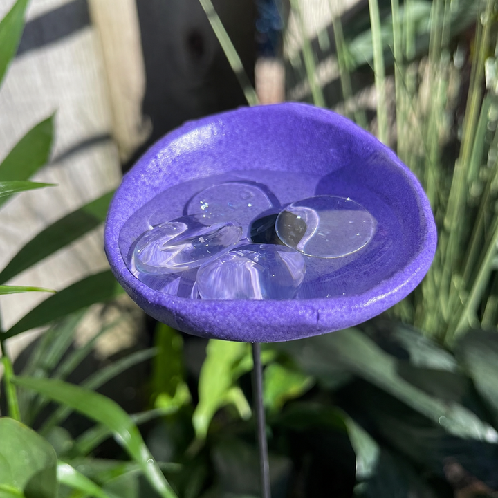🐝Bee Watering Station-Insect Drinking Cups