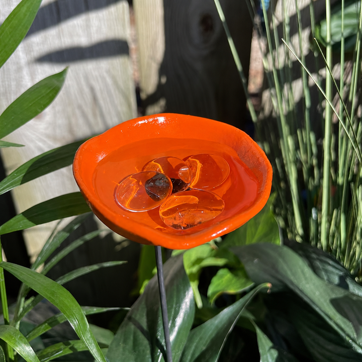 🐝Bee Watering Station-Insect Drinking Cups