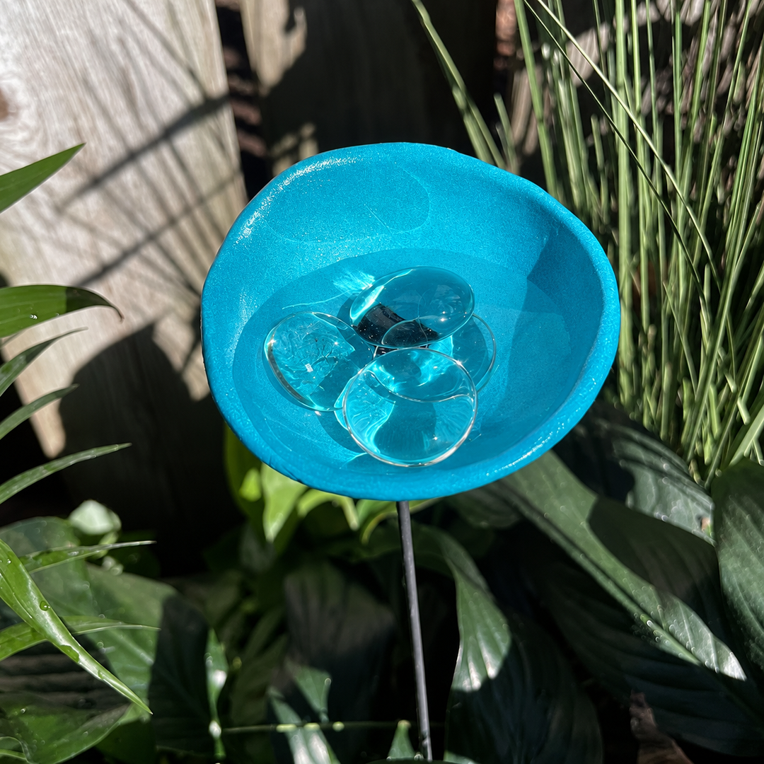 🐝Bee Watering Station-Insect Drinking Cups
