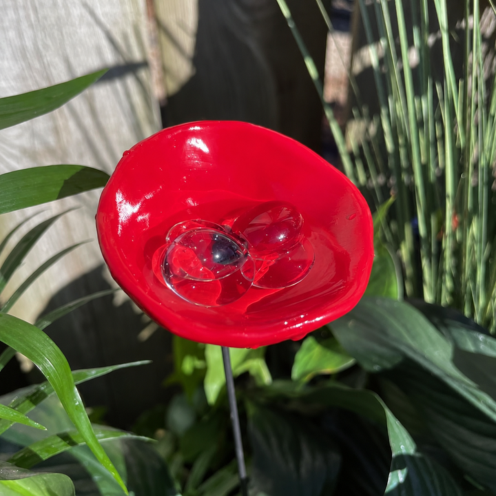 🐝Bee Watering Station-Insect Drinking Cups