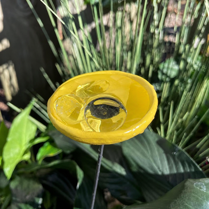 🐝Bee Watering Station-Insect Drinking Cups