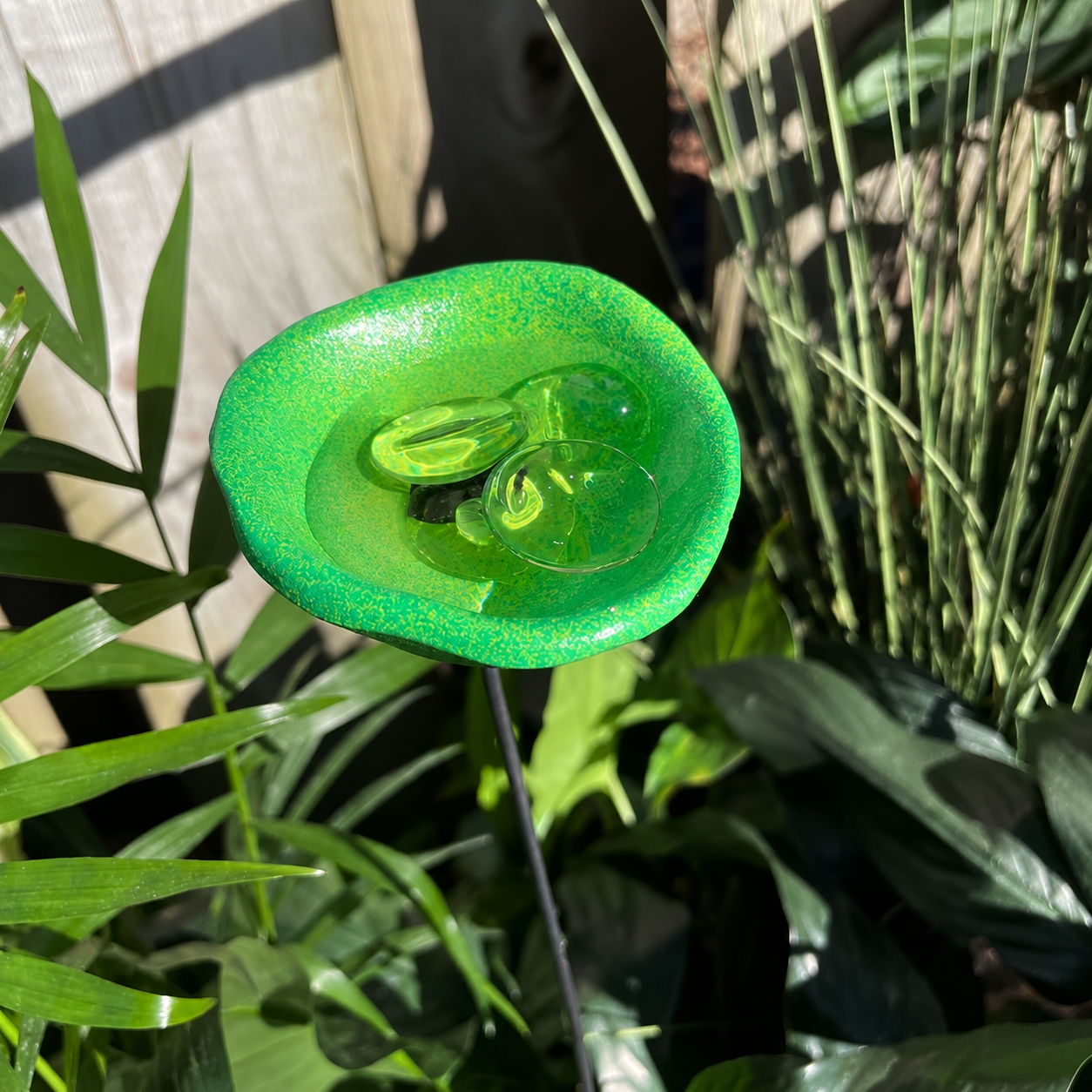 🐝Bee Watering Station-Insect Drinking Cups