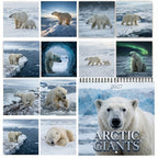 🐻‍❄️2027 Polar Bear Calendar - 12 Months of Majestic Polar Bear Portraits & Wild Arctic Moments