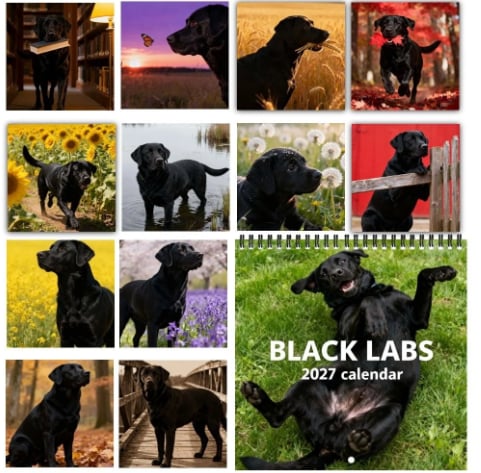 🐶Black Labs 2027 Wall Calendar- 12 Months of Loyal Looks & Happy Tails