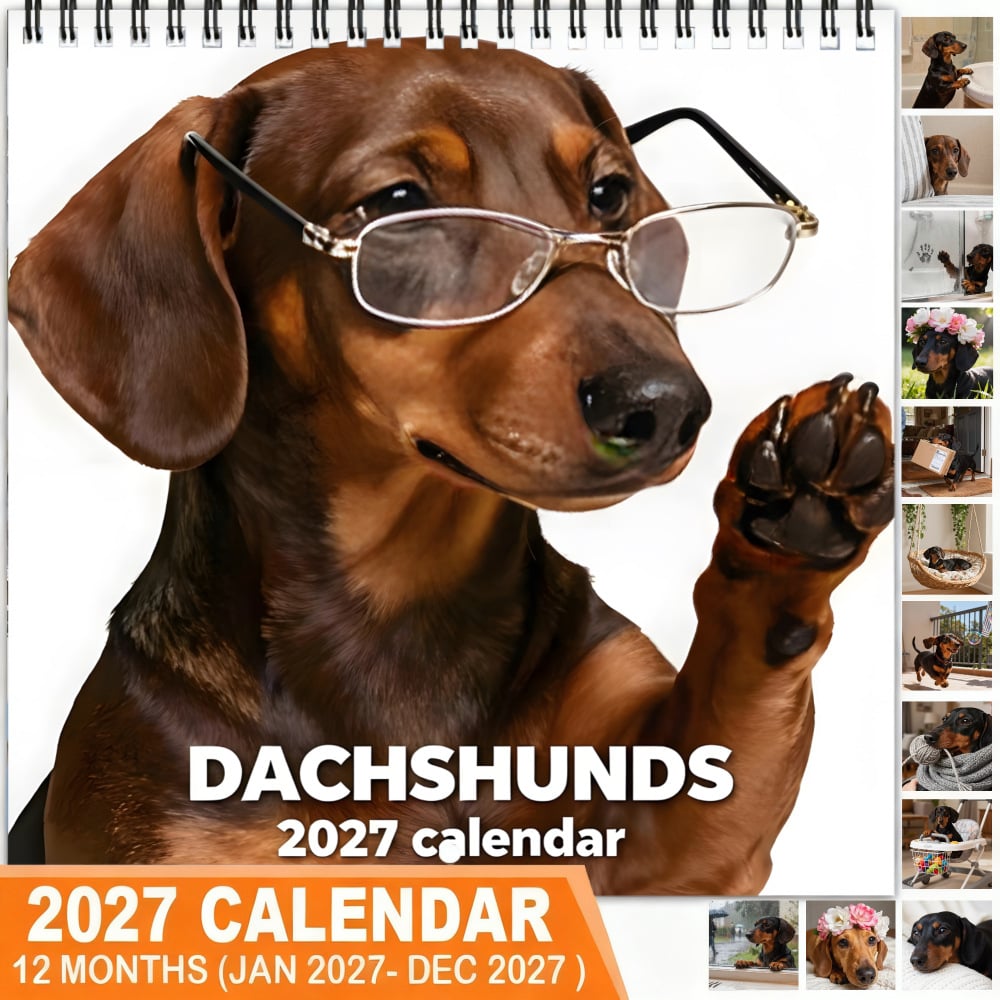 🐶 Dachshunds With Glasses 2027 Wall Calendar – 12 Months of Adorable Dachshunds & Playful Stylish Moments
