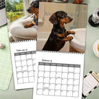 🐶 Dachshunds 2027 Wall Calendar – 12 Months of Adorable Dachshund Portraits & Playful Everyday Moments
