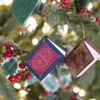 📚 25-Day Mini Book Advent Calendar – A Book Lover's Christmas Countdown
