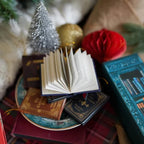 📚 25-Day Mini Book Advent Calendar – A Book Lover's Christmas Countdown