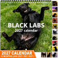 🐶Black Labs 2027 Wall Calendar- 12 Months of Loyal Looks & Happy Tails