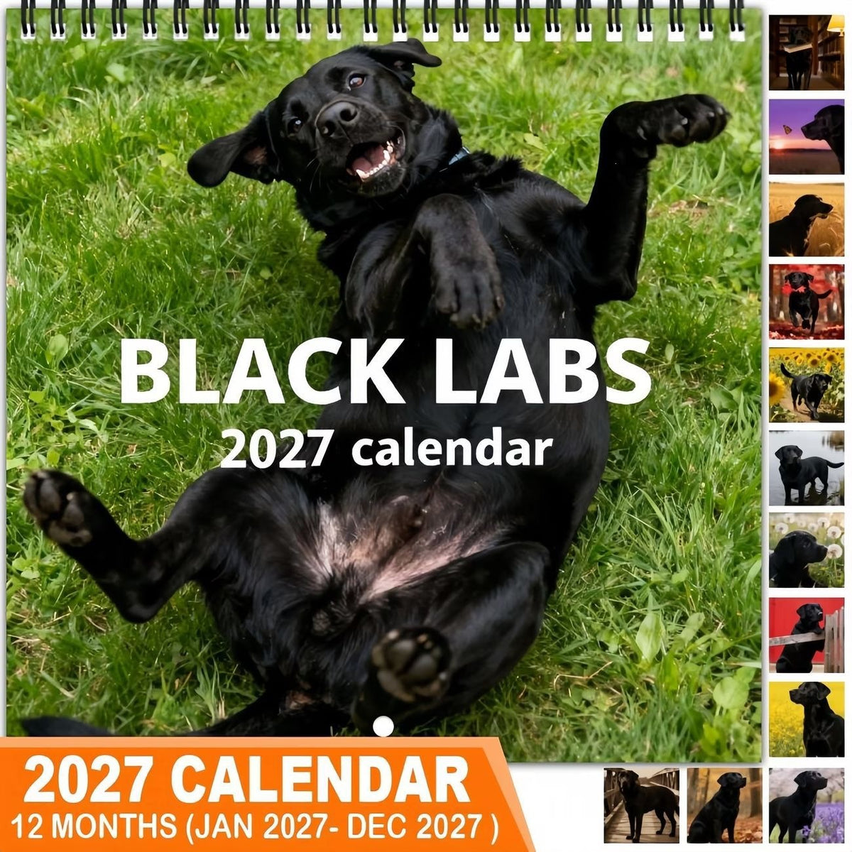 🐶Black Labs 2027 Wall Calendar- 12 Months of Loyal Looks & Happy Tails