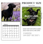 🐶Black Labs 2027 Wall Calendar- 12 Months of Loyal Looks & Happy Tails